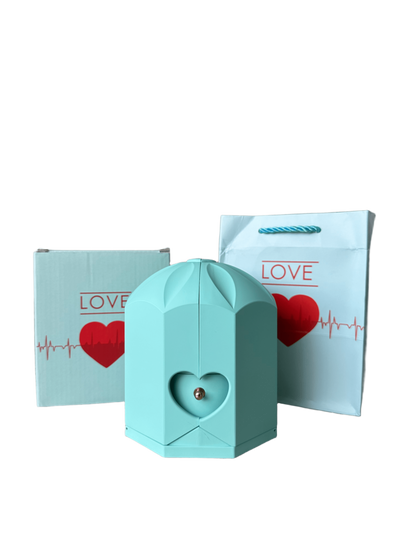 Caixa com Rosa Eterna & Colar Coração Personalizado